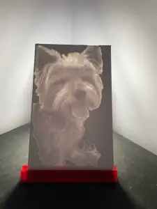 Eco Lithophane frame