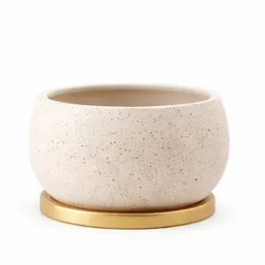 Modern Decorative Flower Pot