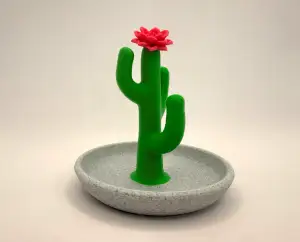 Cactus Jewelry Organizer