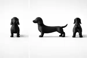 The Dachshund