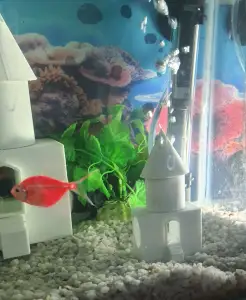 Fishtank hide and aerator