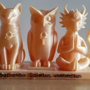Sapientia, Spiritus, Instinctus