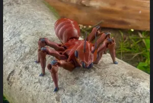 Hormiga Articulada Flexi / Flexi Articulated Ant