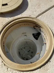 Pool skimmer box overflow screen