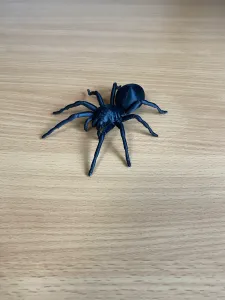 The most realistic spider