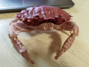 crab case