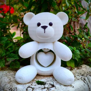 Valentine's Special - Teddy Bear with Heart