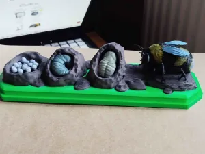 Bumblebee Life Cycle – Educational Model