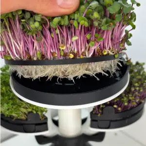 Modular Microgreens Tower - Nature-Inspired 3D-Printed Verti