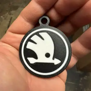 Skoda logo on key, key ring