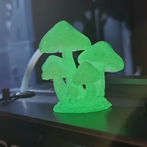 Mushroom Cluster