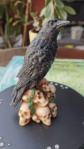 Rabe auf Totenkopf-Haufen, Raven on Pile of Skulls