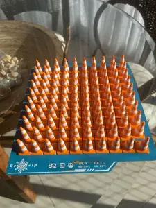 Cone