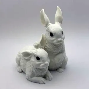Two Bunnies