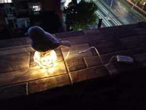 🐦💡Stone Bird Stand Lamp & Garden Decoration🐦💡