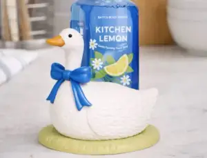 BBW goose soap holder