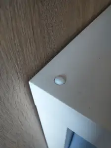 Screw Cover