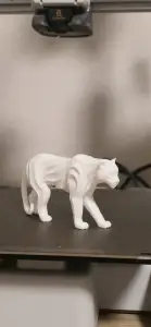 panther