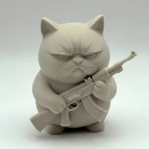 Grumpy Rifle Kitten