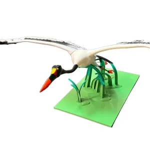 Saddlebill Stork - advanced print