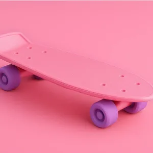 Mini fish skateboard figurine