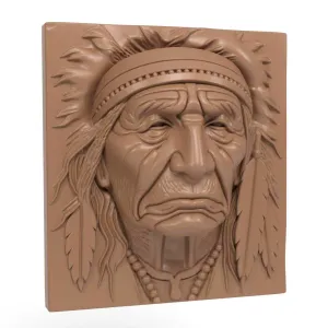 Native Indian relief