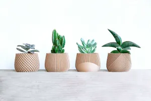série cache pot W&M