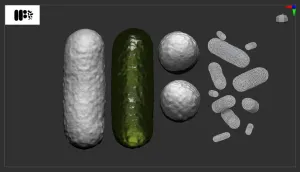 ROD-SHAPED BACTERIA (BACILLI)