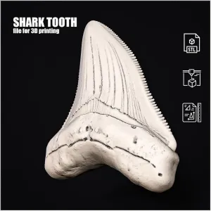 Shark Tooth #RoZ
