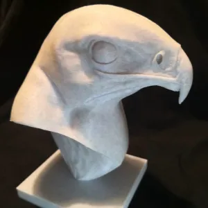 Eagle Bust