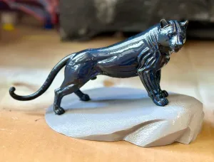 Panther on Rock