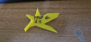 your did it pin