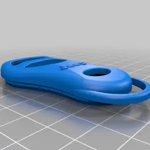 key fob