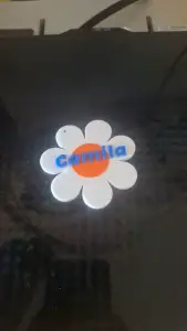 flor camila