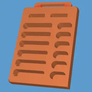 RF Batteries carrier