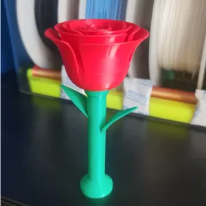 玫瑰花