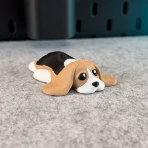 Cute Dog
