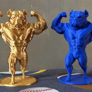 Bulldog bodybuilder - Bulldog maromba