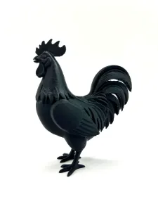 Rooster