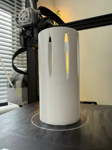 Elegant Modern Vase with Organic Cutouts