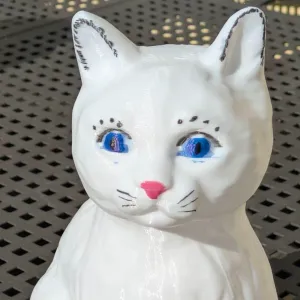Cat white