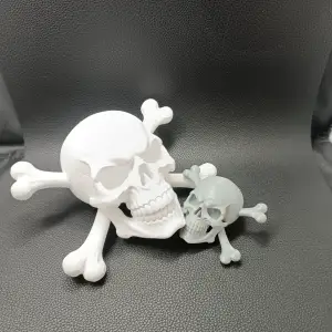 Pirate Skull