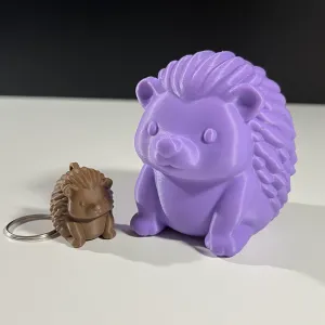 Cute Hedgehog