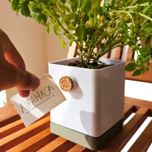 Cork Planter