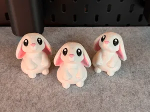 Cute Bunny