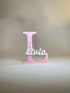 Placa de Identificação 3D - Livia