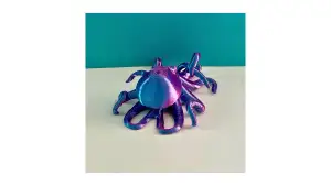 Octopus