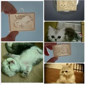 Picture (up light ) - Cats