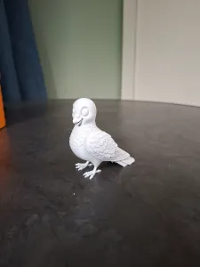 Happy Little Pigeon