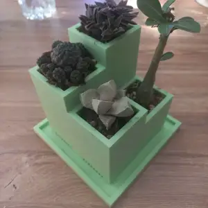 Cactus pot